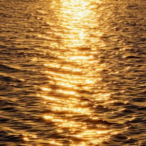 sunset, lake, nature-8424565.jpg